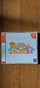 (0038) new goods unopened goods DC Dreamcast Pia Carrot He Youkoso!!2.5 T-20109M