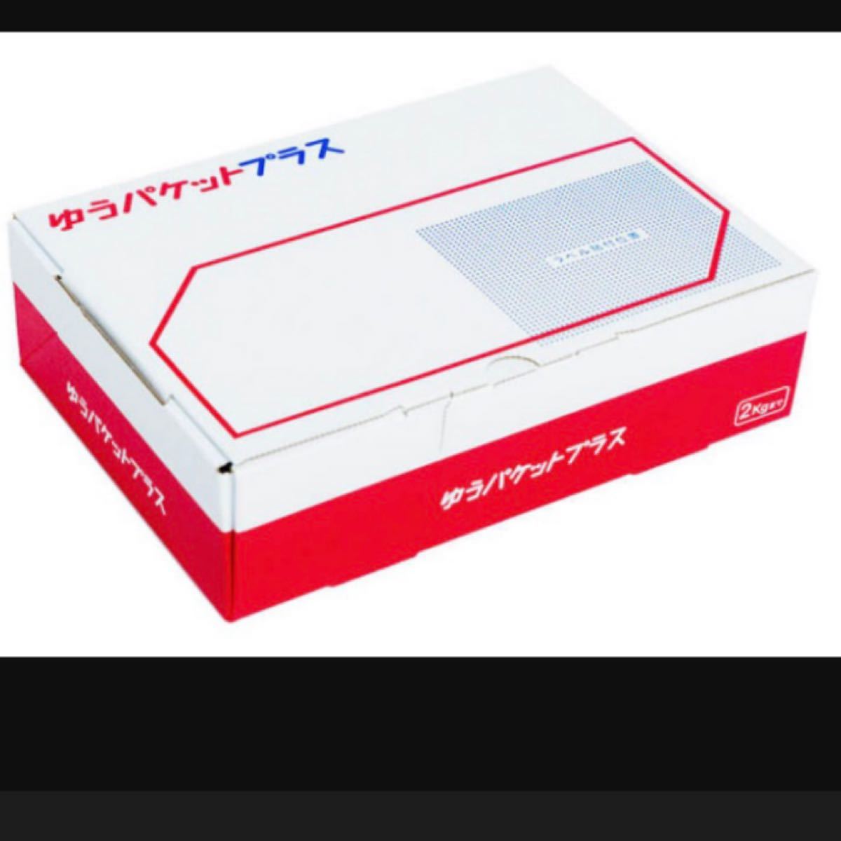 ランキング2022 ターナー ミルクペイント アンチウイルスプラス