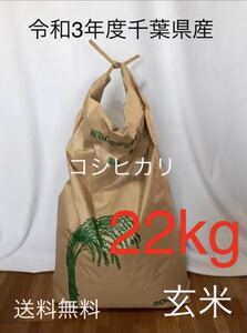 お米　令和3年度千葉県産　コシヒカリ　22kg 玄米