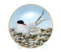 ダンバリーミント アジサシ/Tern bird plate Danbury mint 12WATERBIRD_画像1