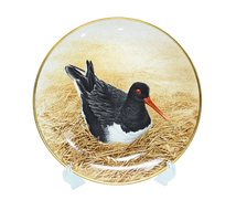 ダンバリーミント ミヤコドリ/Oyster-Catcher bird plate Danbury mint 12WATERBIRD_画像1