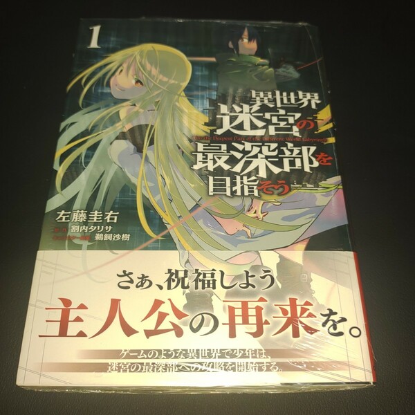 異世界迷宮の最深部を目指そう　１ （ガルドコミックス） 左藤圭右／漫画　割内タリサ／原作　鵜飼沙樹／キャラクター原案