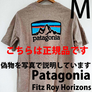 M 新品正規品パタゴニア M's Fitz Roy Horizons Responsibili-Teeフィッツロイ ホライゾンズ レスポンシビリティーShroom Taupe STPE38501