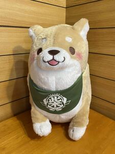  not for sale! beautiful goods!. dog mochi ..35cm animal soft toy dog 