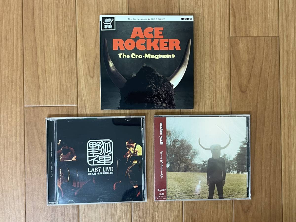 SCANNERS(eastern youthの前身バンド)アナログレコード 東京限定 本