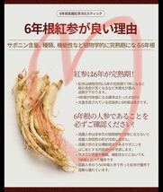 6年根 高麗 紅参 濃縮液 10本+10本 高麗人参 エキス 365 スティック お試し 2種 セット_画像2