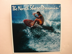 ＊【LP】【V.A】THE NORTH SHORE DREAMIN’／Cecillio & Kapono、Over You 他（20AP2340）（日本盤）シュリンク付