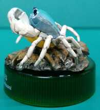 サワガニ　沢ガニ　沢蟹　蟹　かに　カニ　フィギュア　BIRDTALES　青系　フィギュア_画像3