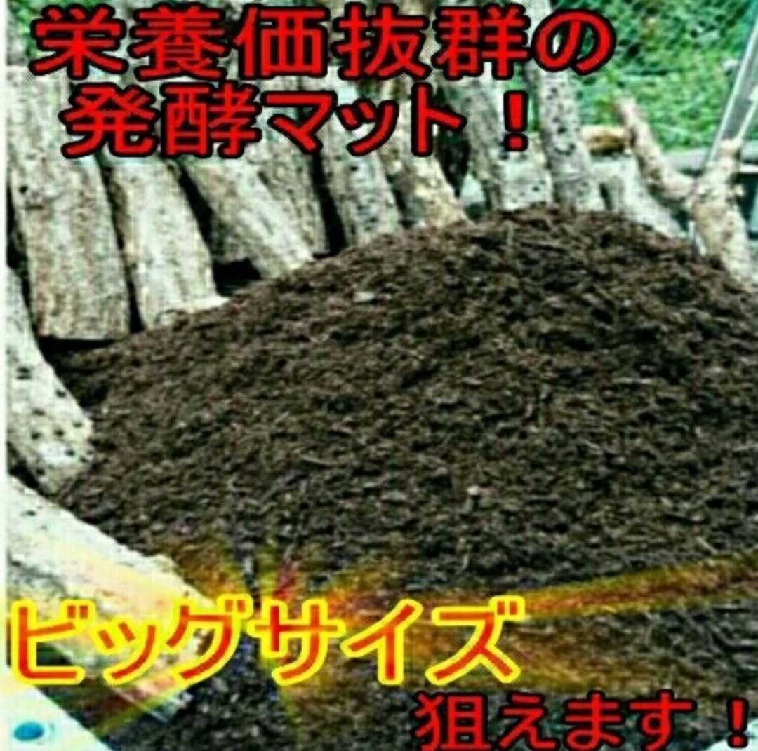 Yahoo!オークション -「ヒマラヤひらたけ菌床発酵マット」の落札 Yahoo!オークション -「ヒマラヤひらたけ菌床発酵マット」の落札
