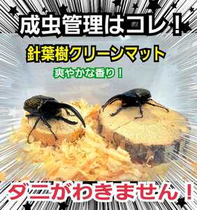 カブトムシ、クワガタの成虫管理に最適！ふわふわ！爽やかな香りの針葉樹クリーンマット☆ケース内が明るくなり生体が引き立つ！ダニ防止に