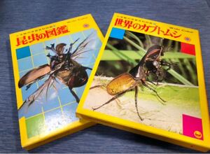昆虫の図鑑 世界のカブトムシ 2冊セット ハードカバー付