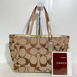 COACH コーチ シグネチャー ハンドバッグ パイソン柄 1813