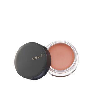 OSAJI ニュアンス フェイスカラー 01