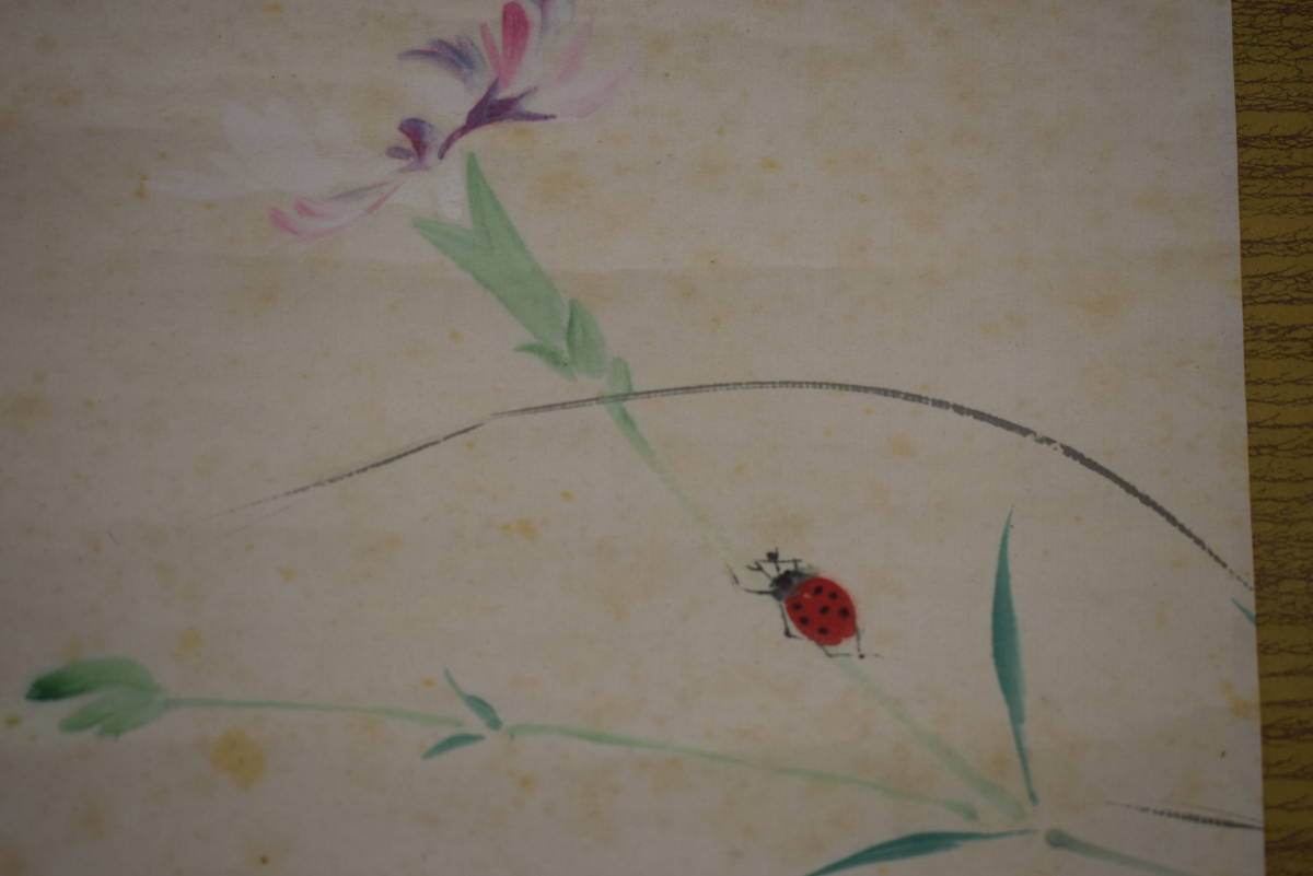 [Auténtico] // Presidente de la Academia Nanga de Japón/Yano Hashimura/Gente conocedora/Mariquita sobre flores/Pergamino colgante Hoteiya HJ-345, Cuadro, pintura japonesa, Flores y pájaros, Fauna silvestre