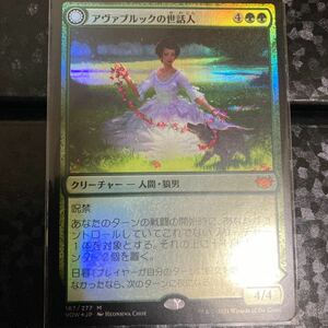 MTG アヴァブルックの世話人 FOIL