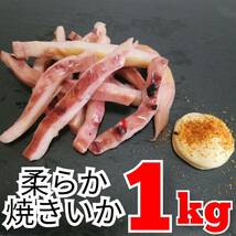 【即決】柔らか 焼きいか 業務用　まとめて １ｋｇ全部 居酒屋メニュー/お酒/ビールのおつまみ/おやつ 解凍後そのままでOK♪長期保存可！_画像1