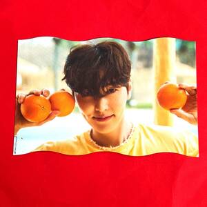 SF9 エスエフナイン THE WAVE OF9 RAY OF THE SUN VER. 封入 ランダム ポストカード フォトカード 1枚 JAEYOON ジェユン 即決