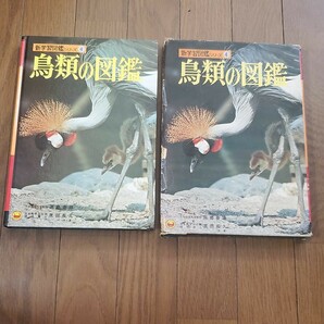 学習図鑑 昭和レトロ
