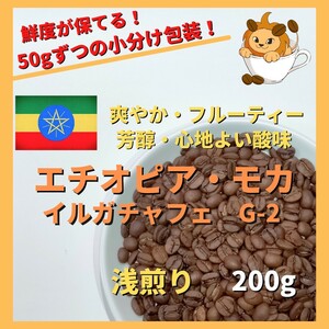 【芳醇でフルーティな浅煎り】エチオピア コーヒー豆 イルガチャフェG-2　自家焙煎