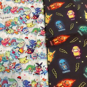 お買い得 綿ポリ生地 140×50 2枚セット ポケモン