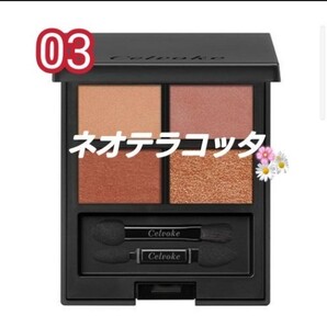 セルヴォーク ヴァティック アイパレット2022 A/W 03 ネオテラコッタ