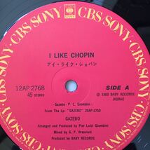 12’ Gazebo-I like Chopin_画像2