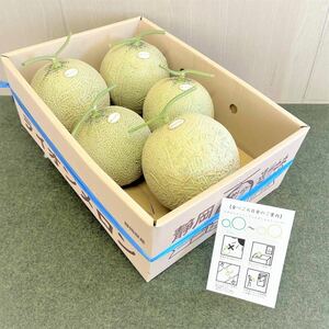 静岡県産高級メロン　5玉　ご家庭用/7.0kg以上/糖度13度以上 1