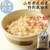 山形県庄内産　氷河米　つや姫　玄米５ｋｇ　令和３年産　送料無料！《即決価格で落札された方には特典付き！！》_画像1