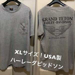 XLサイズ！USA製ハーレーダビッドソン 古着半袖ポケットTシャツ 首ヨレ 首穴有り ヴィンテージ GLAND TETON HARLEY-DAVIDSON