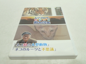 DVD★　ムツゴロウのゆかいな動物図鑑 シリーズ「ネコ科の大型動物」「ネコのルーツと不思議」　★