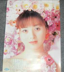 * постер * Sakurai Tomo | Sakurai .|Cherry|2 листов 