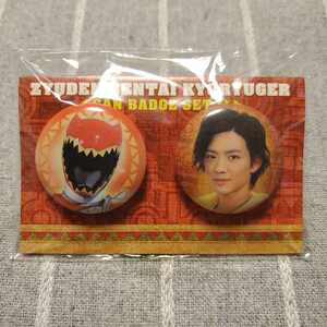 [ new goods unopened ]. electro- Squadron both ryuuja- both ryuu red . raw large go can badge set | 2013 can bachi Squadron thing 