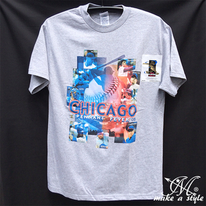 CHICAGO CUBS MLB シカゴ カブス TEE Tシャツ 灰 2008 183 L