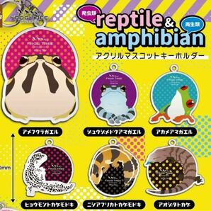 ガチャ reptile ＆ amphibian 爬虫類&両生類 アクリルマスコットキーホルダー 全6種