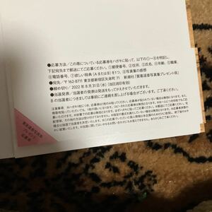 乃木坂46 賀喜遥香　写真集　プレゼント　応募券