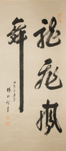 【模写】台湾 林松智 龍飛凰舞 掛軸 絹本 中国美術 書 掛物_画像2