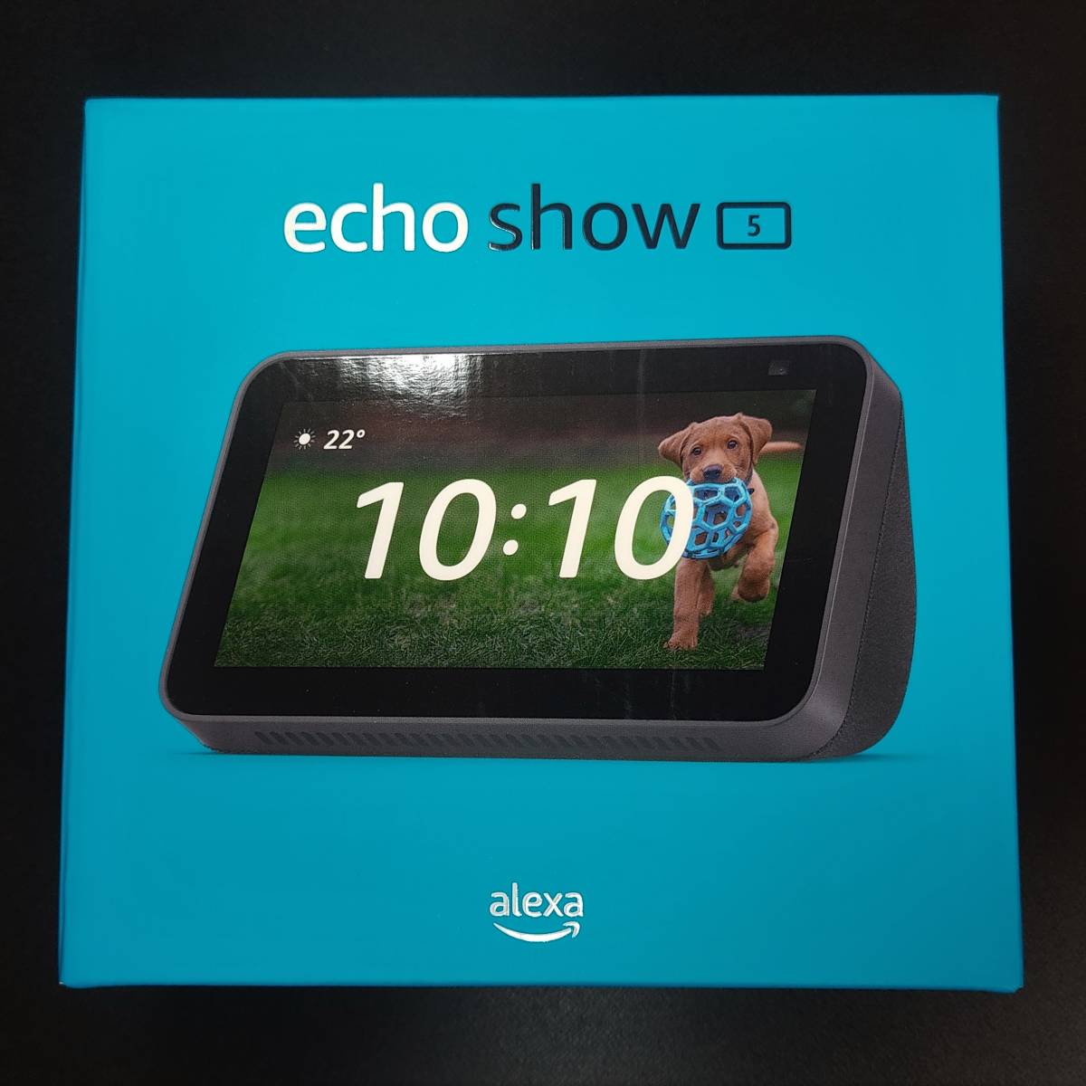 Echo Digital Audio ECHO2 オークション比較 - 価格.com