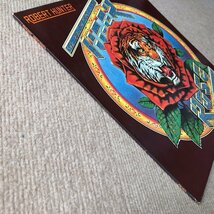 入手困難 ロバート・ハンター Robert Hunter 1975年 LPレコード タイガー・ローズ Tiger Rose 英国盤 Grateful Dead Jerry Garcia_画像4