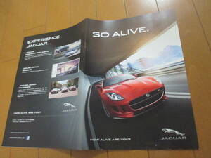 Склад 36336 Каталог ■Jaguar●SO ALIVE●2013.11 Выпуск●9 стр.