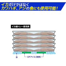 イカ様トレー AL 3枚セット Mサイズ 485×240×50.5mm アルミプレート付き ポリカーボネート製 ダイワ（DAIWA）グローブライド 釣り具_画像4