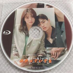 韓国ドラマ わかっていても 全話