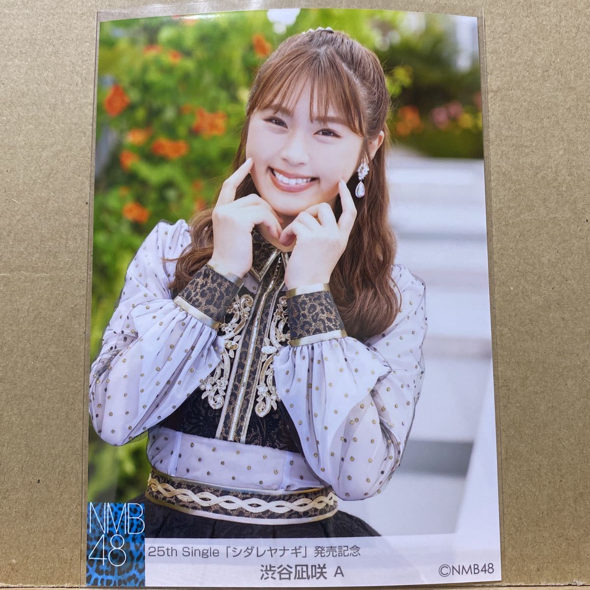 通販特価 月別個別生写真 2017 November 5枚組 AB 2種コンプ 渋谷凪咲