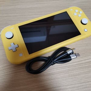 ニンテンドースイッチライト Nintendo Switch Light 充電器付き 動作良好★ アクアブルー