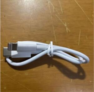 Lightningケーブル Type-C