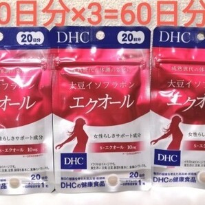 DHCエクオール 大豆イソフラボン エクオール 20日分×3=60日分