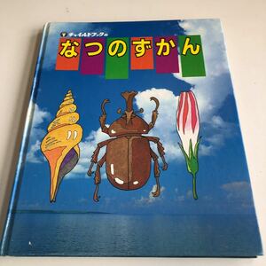 Y41.121 なつのずかん チャイルドブック 夏休み 絵本 工作 クイズ 昆虫 植物 海 自由研究 あさがお 魚つり ぎんやんま カブトムシ せみ