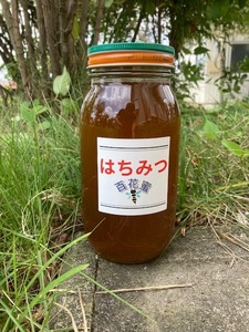 国産 純粋ハチミツ 百花蜜 1000g(ビン1本)☆ 抗生物質不使用の安心・安全な本物の天然ハチミツ