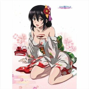 ストライク・ザ・ブラッド B2タペストリー 雪菜 着物 Strike the Blood B2 Tapestry Yukina Himeragi Kimono