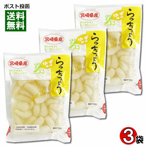 霧島食品工業 ゆず風味らっきょう 90g×3袋まとめ買いセット 宮崎県産らっきょう使用