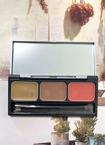 【美品】&be パレットアイブロウ レッドブラウン